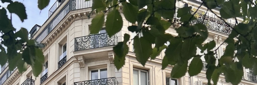 Arielle Mitropoulos banner