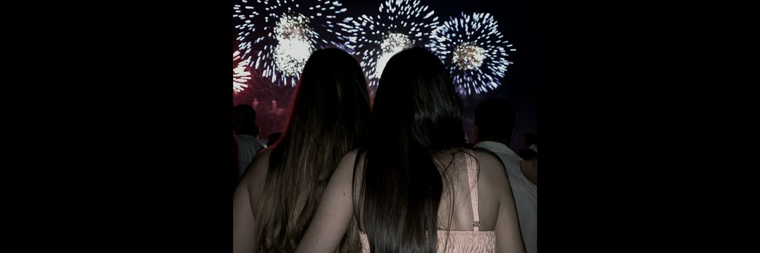 luisawithans's profile banner image