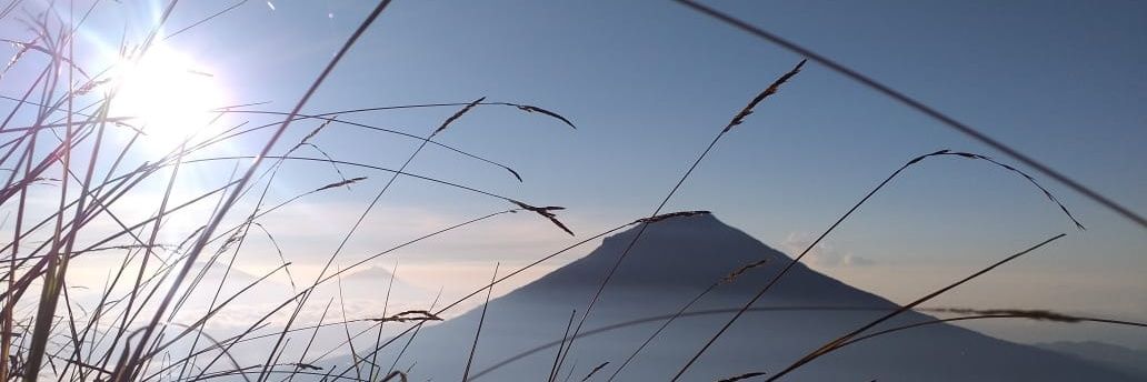 iggna's profile banner image