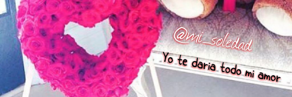 Mi_soledad__'s profile banner image