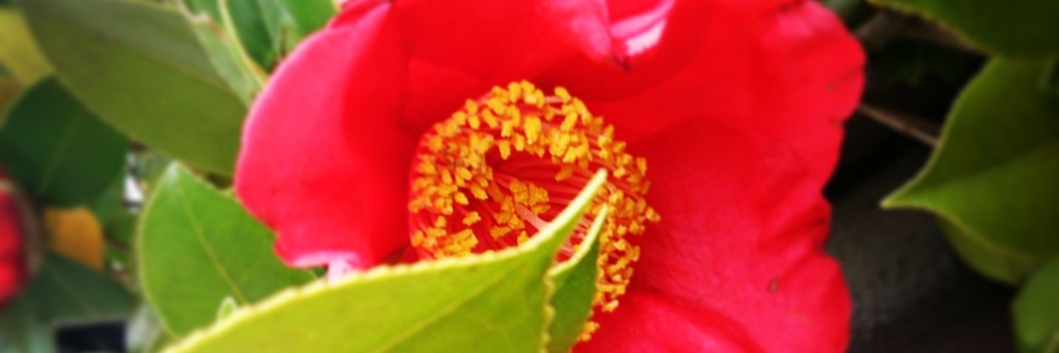 aym_m666's profile banner image