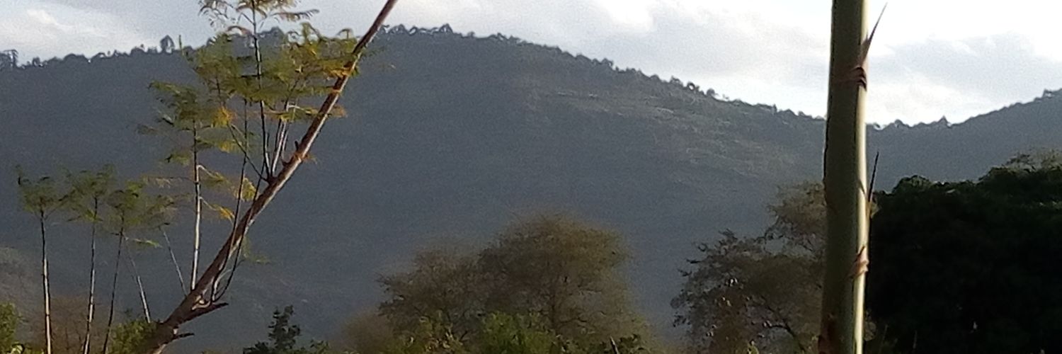 cheruwangai_'s profile banner image