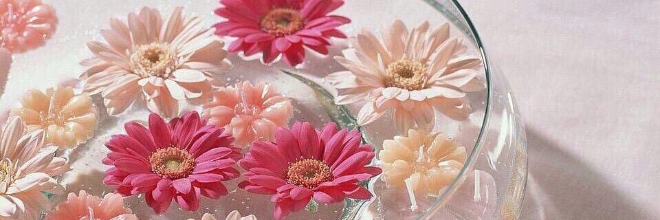 __pipi25__'s profile banner image