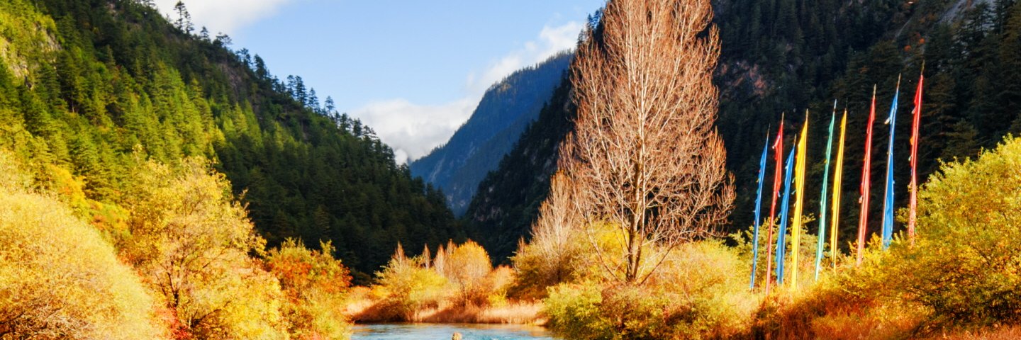 DivaDoRainbow's profile banner image