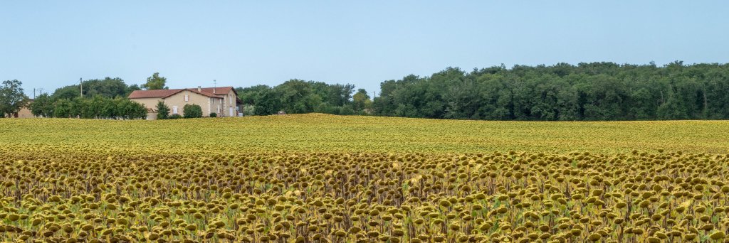 Dr. Eugène 🧬 banner