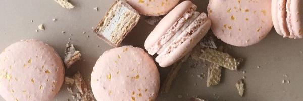 Chlo_viss Profile Banner