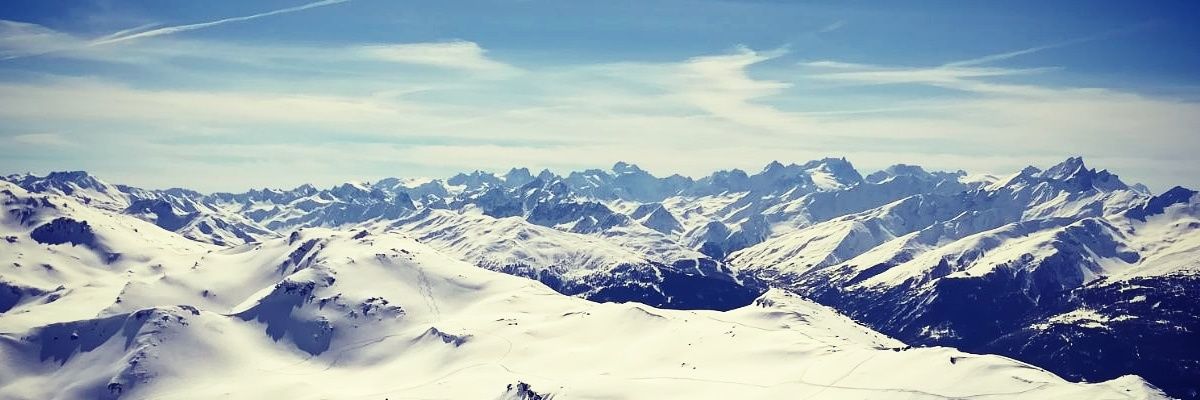 asharkeyTRC's profile banner image
