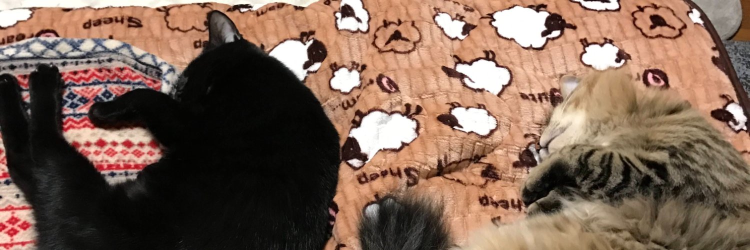 mjnk_'s profile banner image