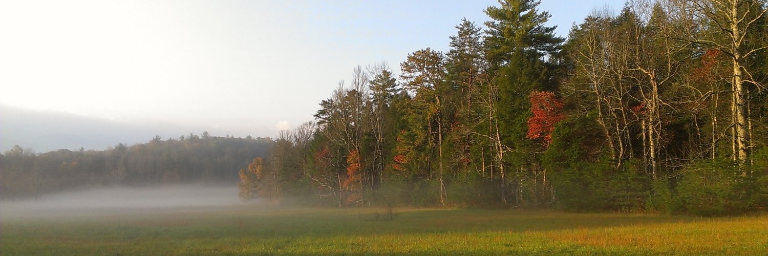 TomokoTN's profile banner image