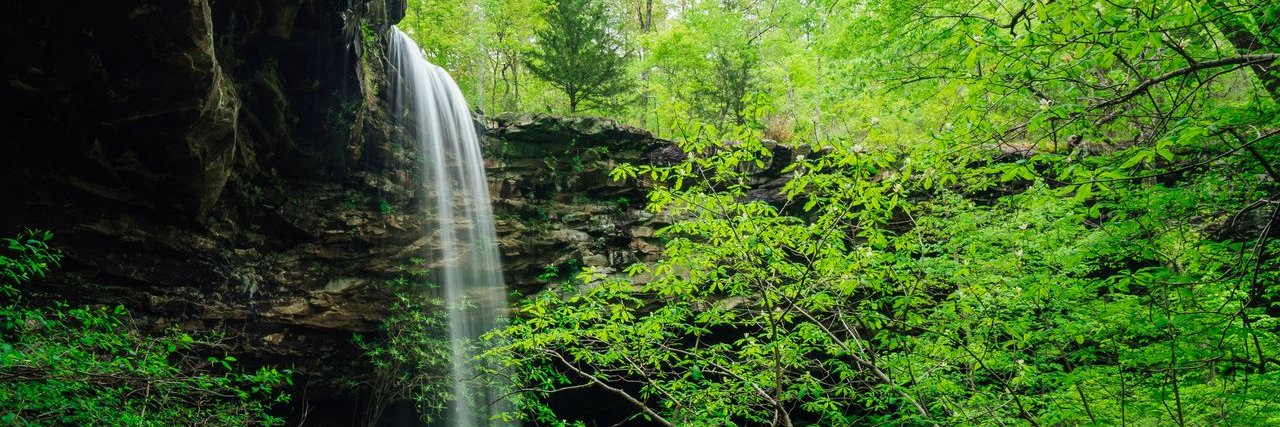 Northwest Arkansas banner