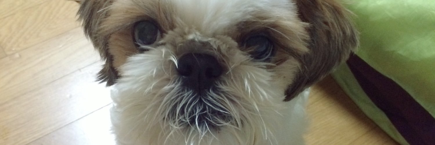ffrreeeek's profile banner image