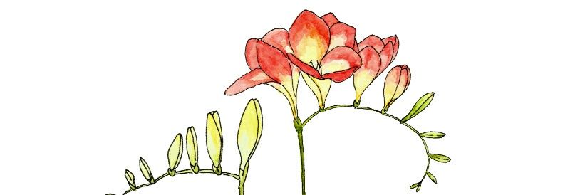 BriersHouse's profile banner image