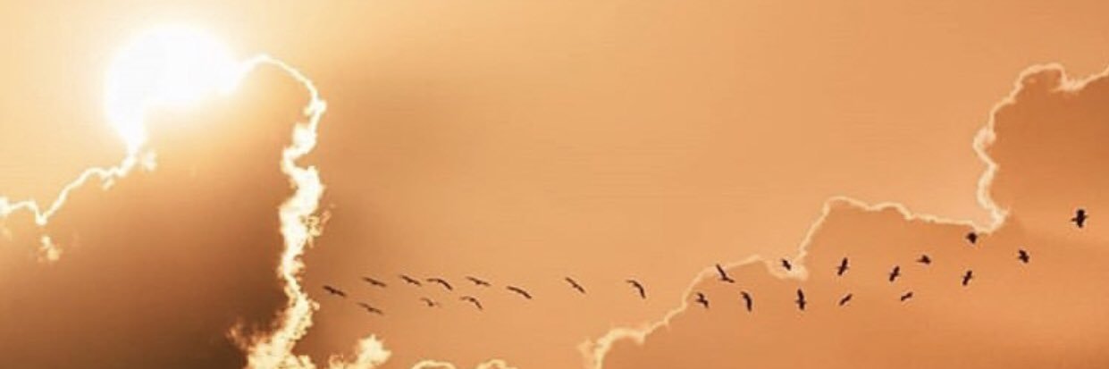 meetwarde's profile banner image