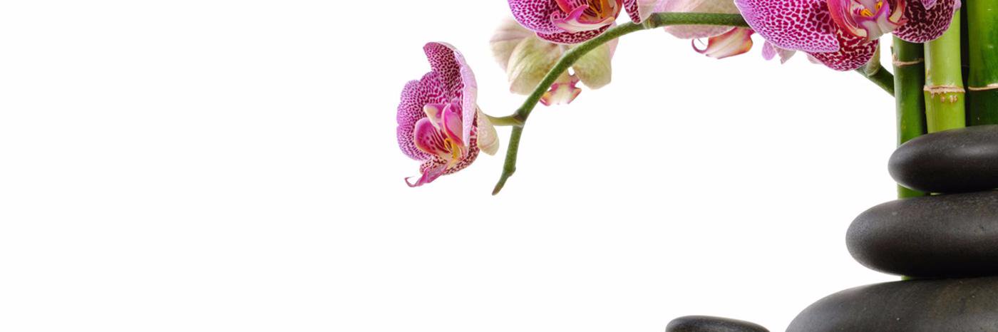 Dr. Peter Weiss banner