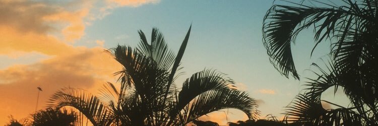 LawsonBee's profile banner image