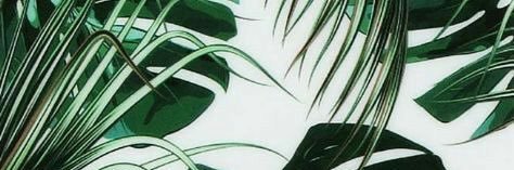 wylfrd's profile banner image