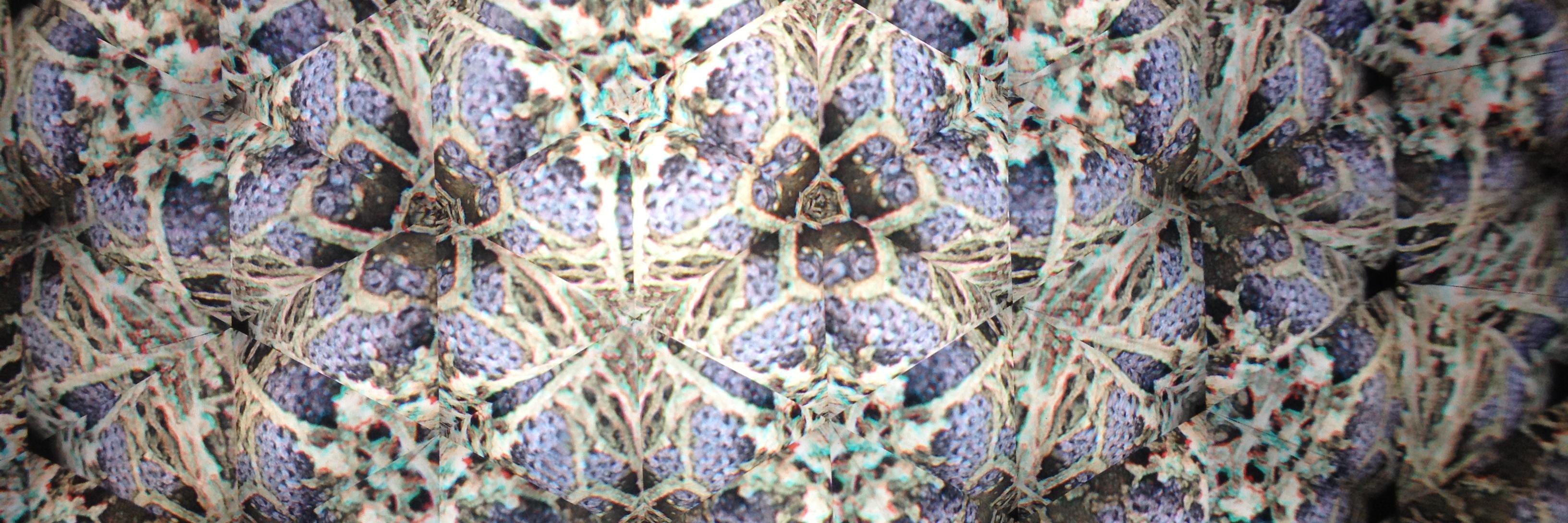 Steph Vassilopoulos banner