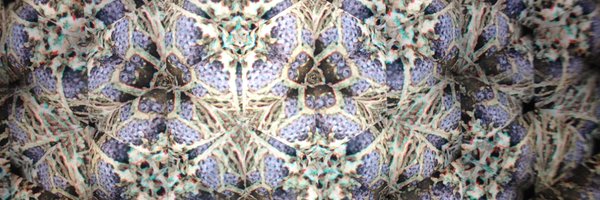 Biosdfp Profile Banner