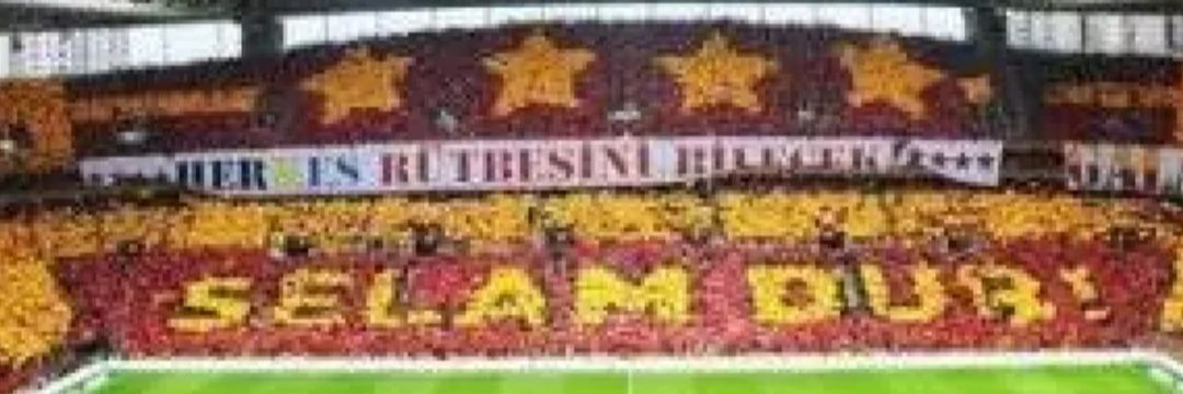 🦁🇹🇷TANER🇹🇷🦁 banner