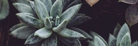 baileyt1221's profile banner image
