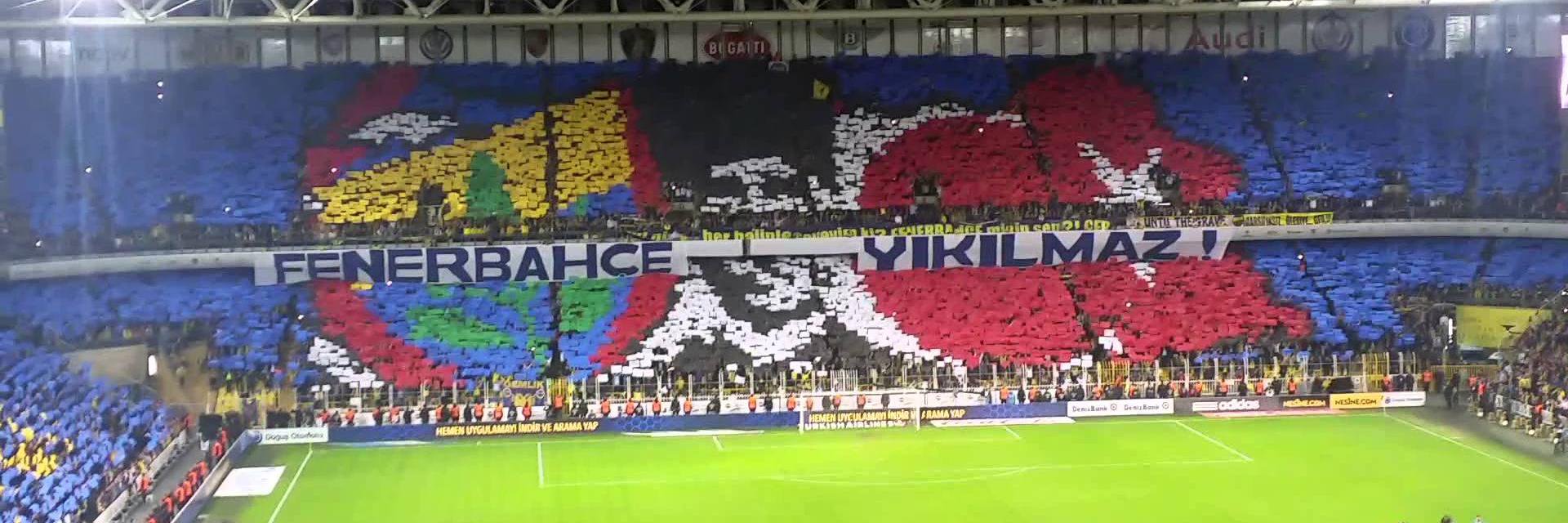 MinaCansel's profile banner image
