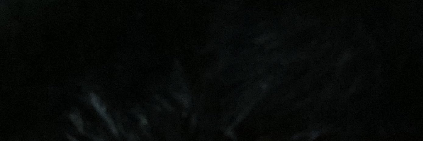 رامي banner