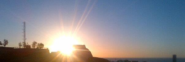 Elsa Martínez banner