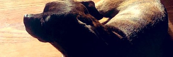 Inzane_Cabell's profile banner image