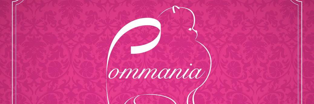 pommania's profile banner image