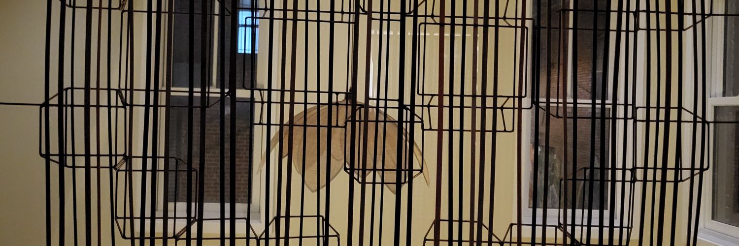 Friends & Family 🦋 banner