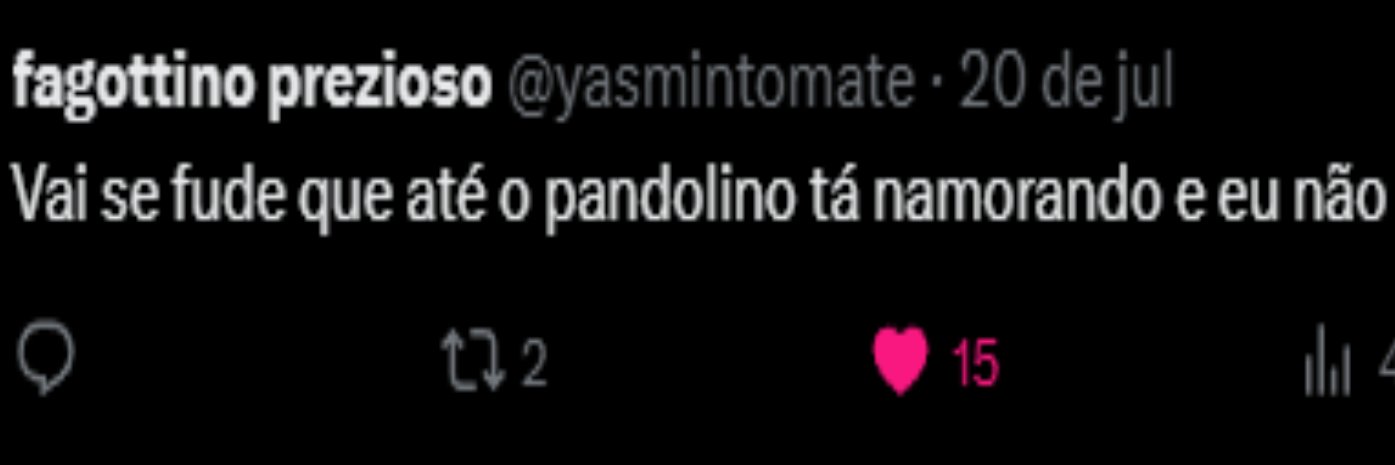 Pandolino 🟥🟪 banner