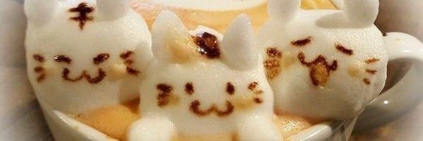 kibblekrunchiez Profile Banner