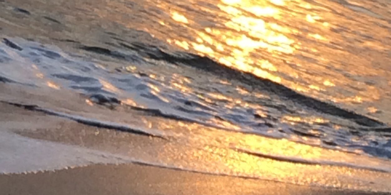 sugi6231's profile banner image