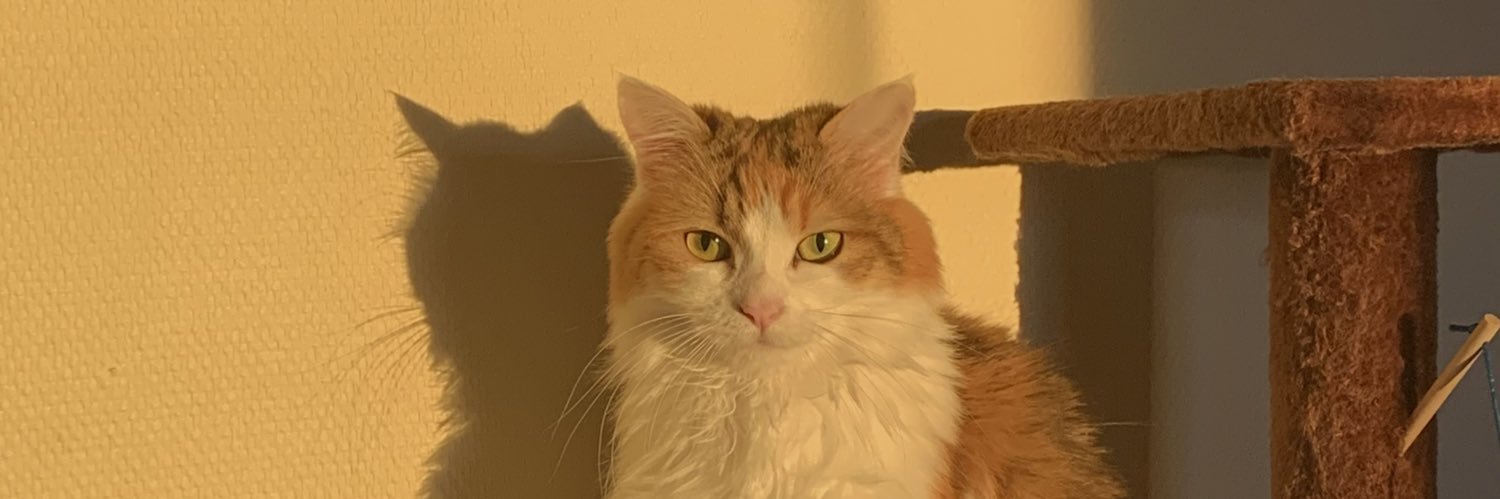 axelle_ragno's profile banner image