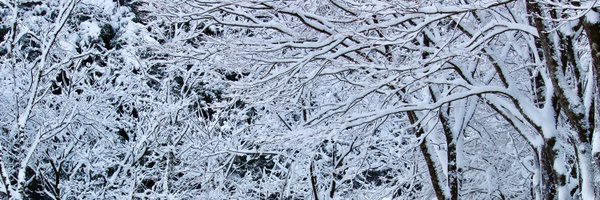 drumythm Profile Banner