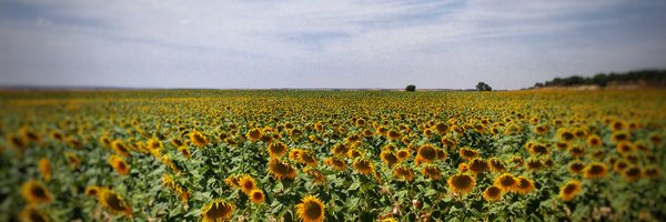 martajar Profile Banner