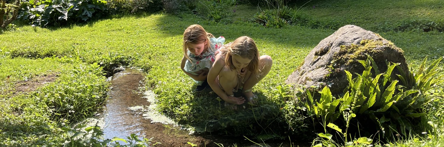 Ronan McQuillan 🇵🇸❤️🇮🇪 banner