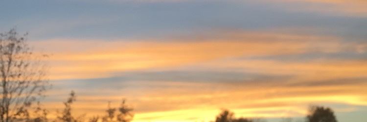 kaptinduck's profile banner image