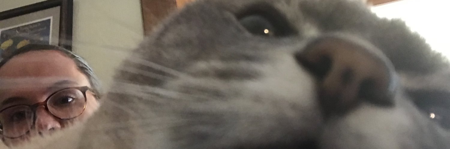 cate_ettinger's profile banner image