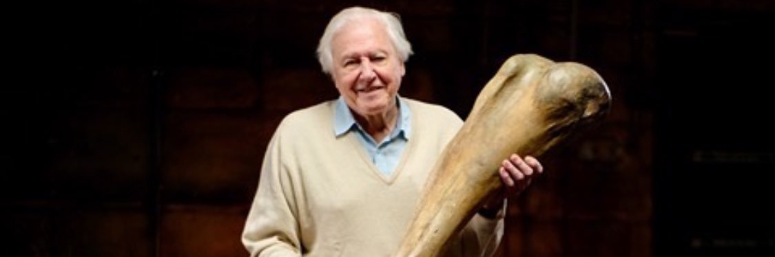 Windfall Films banner