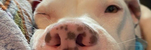 tripleslickrick's profile banner image