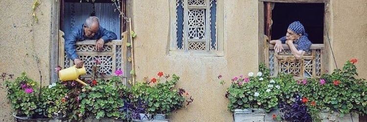 ___\/!Ldan banner