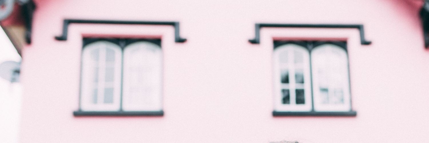 Me for Queen // Mary Erskine banner