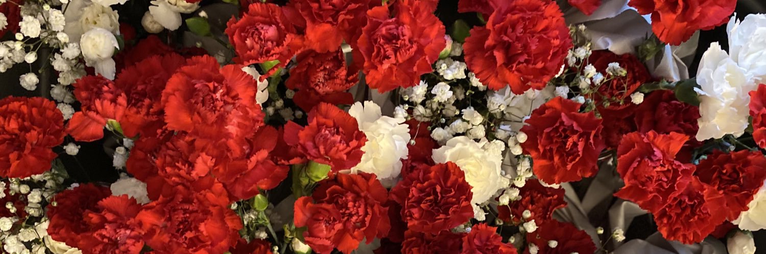 RobertaRadovich's profile banner image