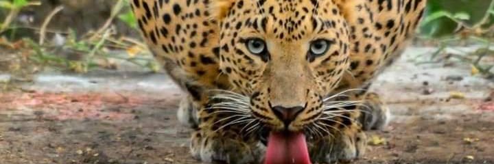matheussromi's profile banner image