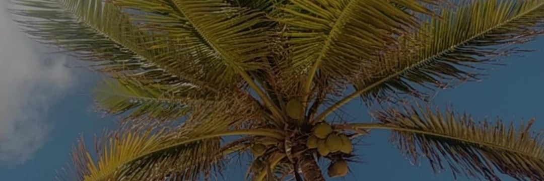 UnaTalZquad's profile banner image