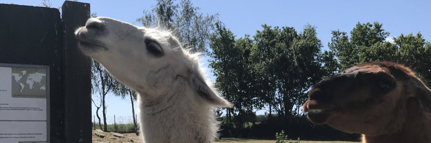 Andreas Bostrup banner