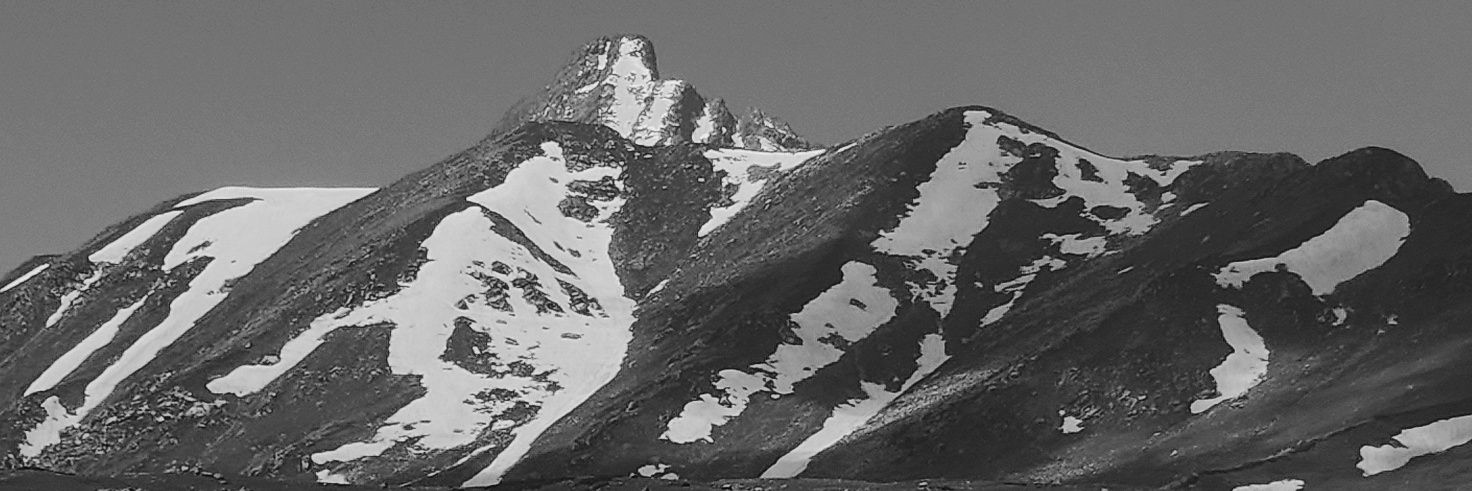 TheSnowPiper's profile banner image