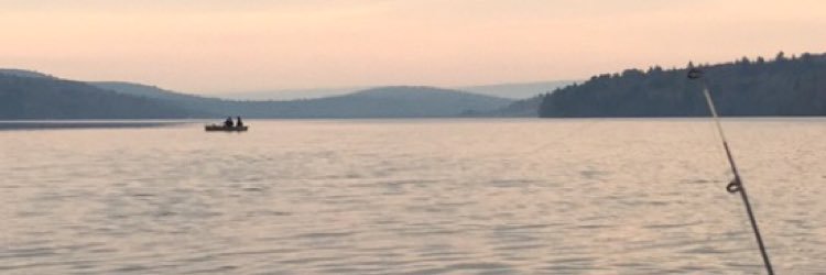 Jells0995's profile banner image
