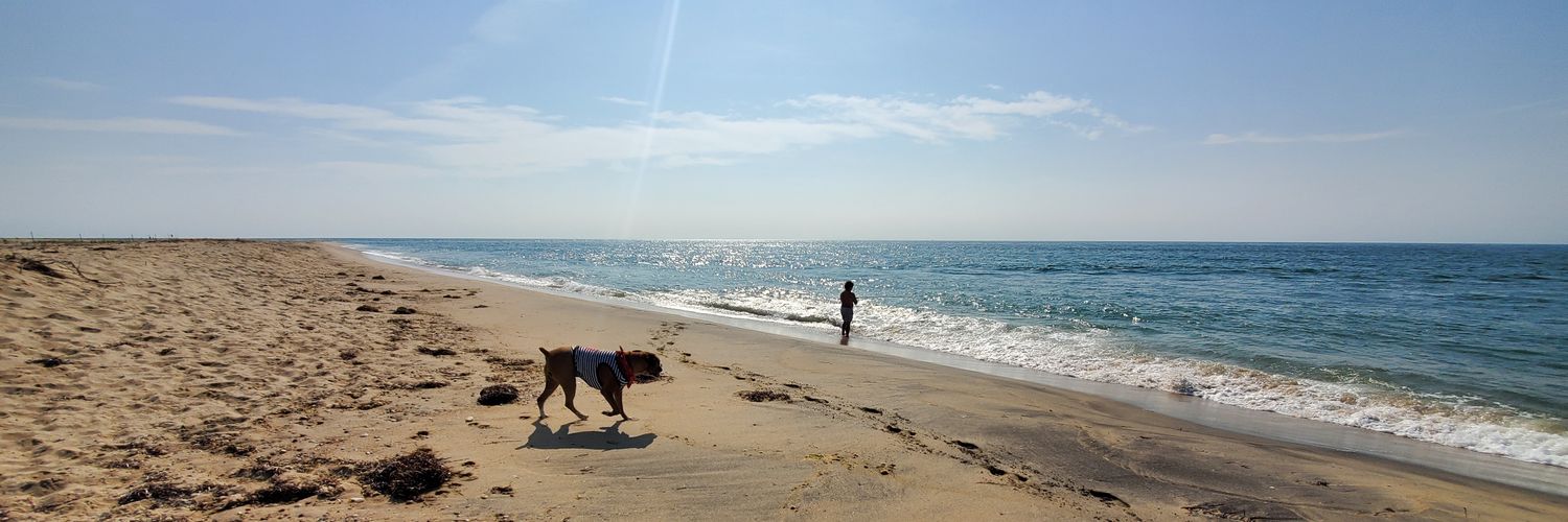 Michael Mimo 💽 banner